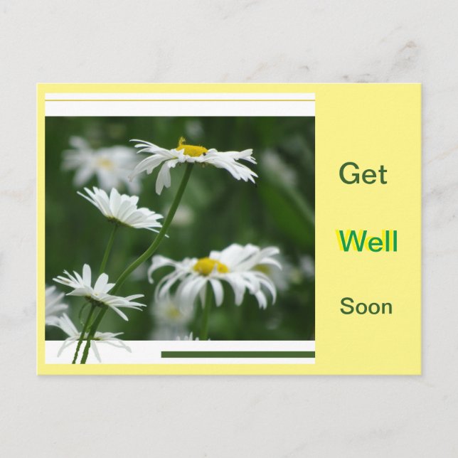 White Daisies Collage Cust. Get Well Soon Postcard (Front)