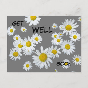 White Daisies Cust. Colour Get Well Soon Postcard