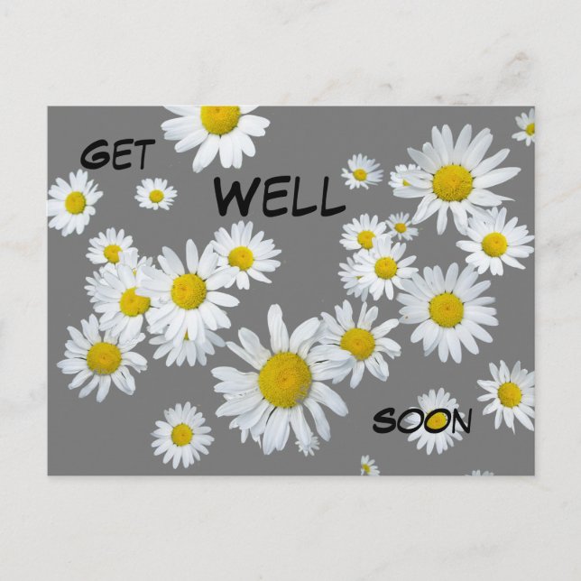 White Daisies Cust. Colour Get Well Soon Postcard (Front)