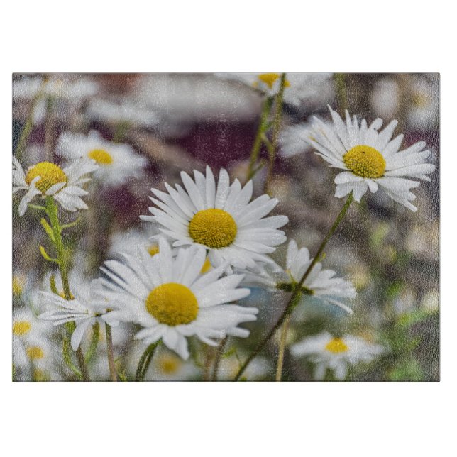 White daisies glass cutting board (Front)