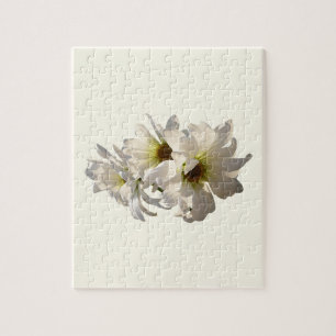 White Daisies in Sunshine Jigsaw Puzzle