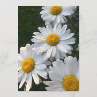 White Daisies Invitation