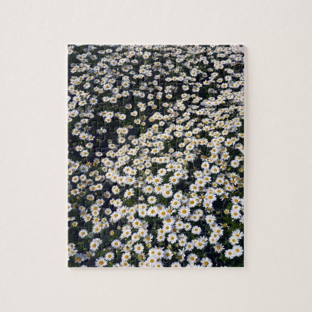 white daisies jigsaw puzzle (Vertical)