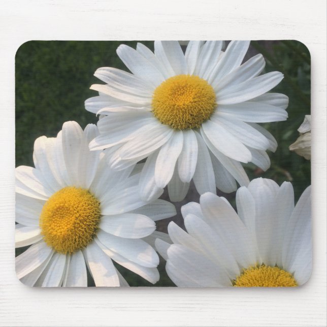 White Daisies Mouse Pad (Front)
