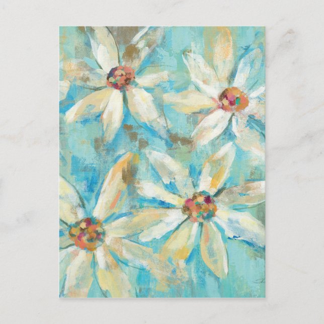 White Daisies on Blue Postcard (Front)