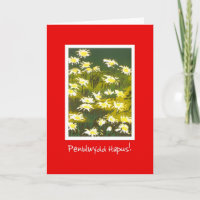 White Daisies on Red Birthday Card: Welsh Greeting