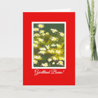 White Daisies on Red Get Well Card: Welsh Greeting
