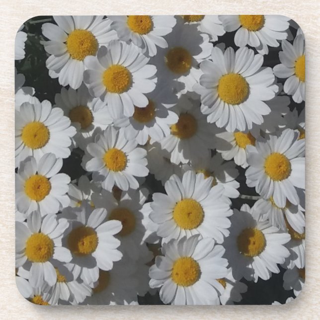 White Daisies Plastic Coaster (Front)