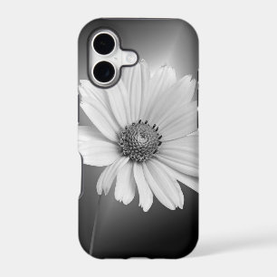 White Daisy
