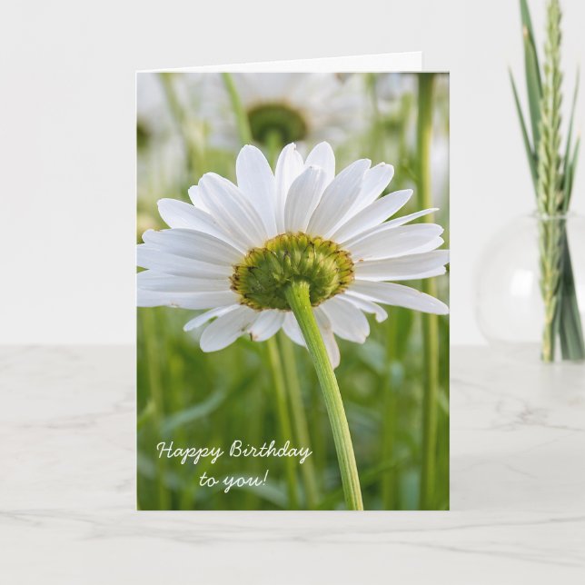 white daisy-birthday card (Front)