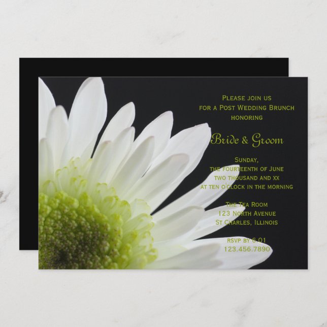 White Daisy Black Post Wedding Brunch Invitation (Front/Back)