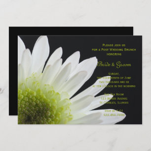 White Daisy Black Post Wedding Brunch Invitation