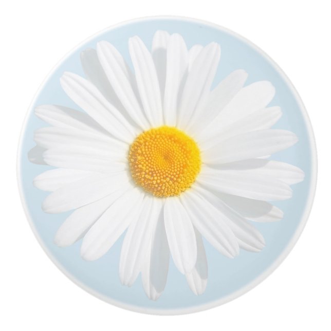 white daisy ceramic knob (Front)