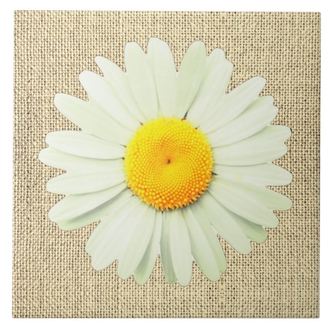 White Daisy Ceramic Tile (Front)