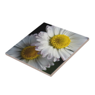 White Daisy Ceramic Tile