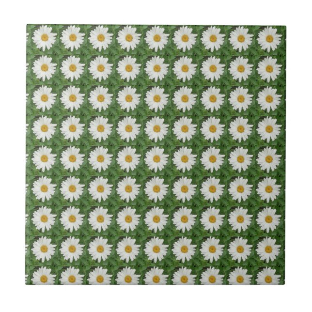 White Daisy Ceramic Tile (Front)