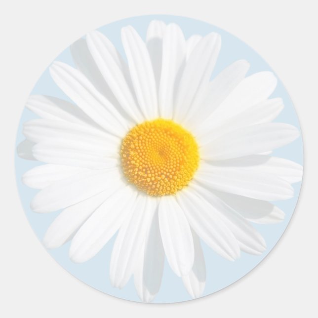 white daisy classic round sticker (Front)