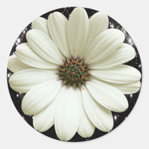 White Daisy Classic Round Sticker