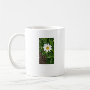 White Daisy Coffee Mug