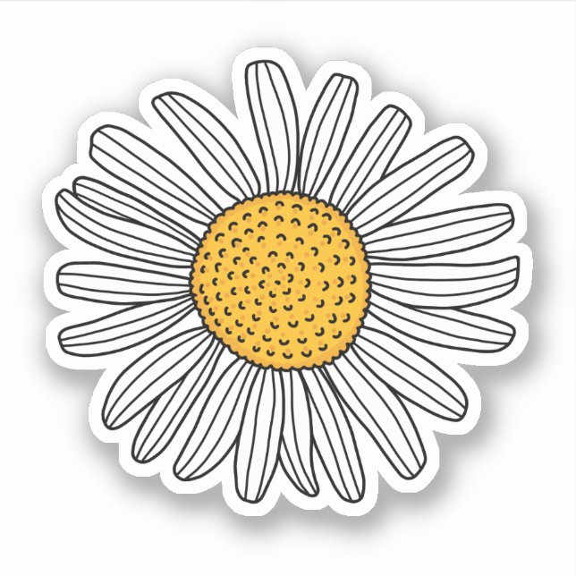 White daisy drawing (Front)