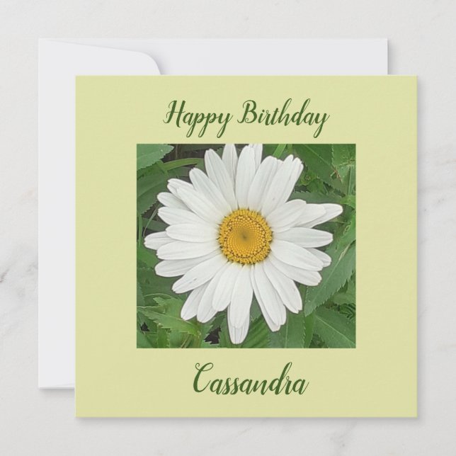 White Daisy Flat Birthday Card (Front)