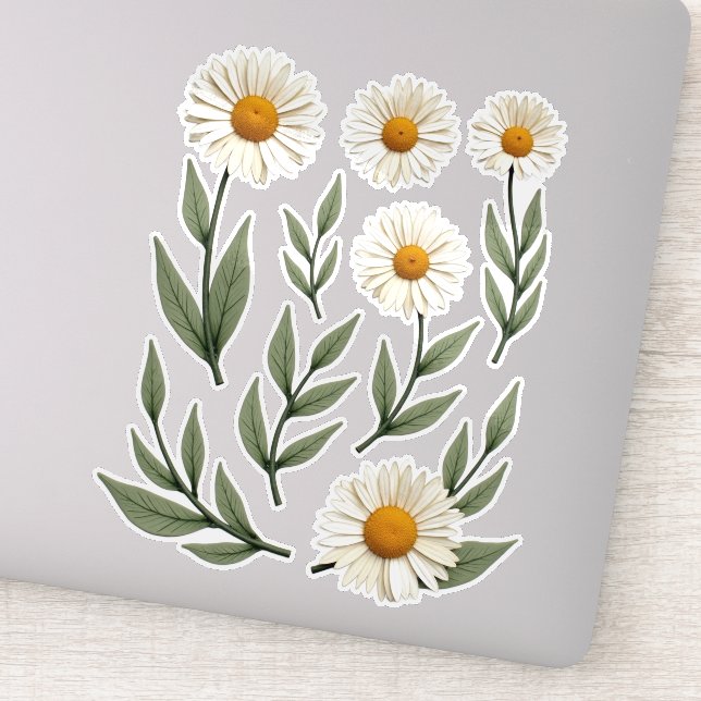 White Daisy Floral Design (Detail)