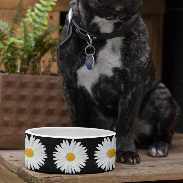 White Daisy Floral Pattern on Black Pet Bowl (Creator Uploaded)
