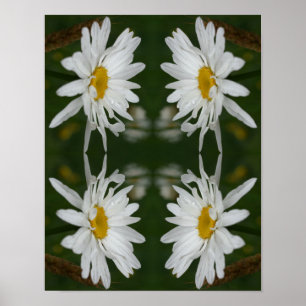 White Daisy Flower Abstract  Poster