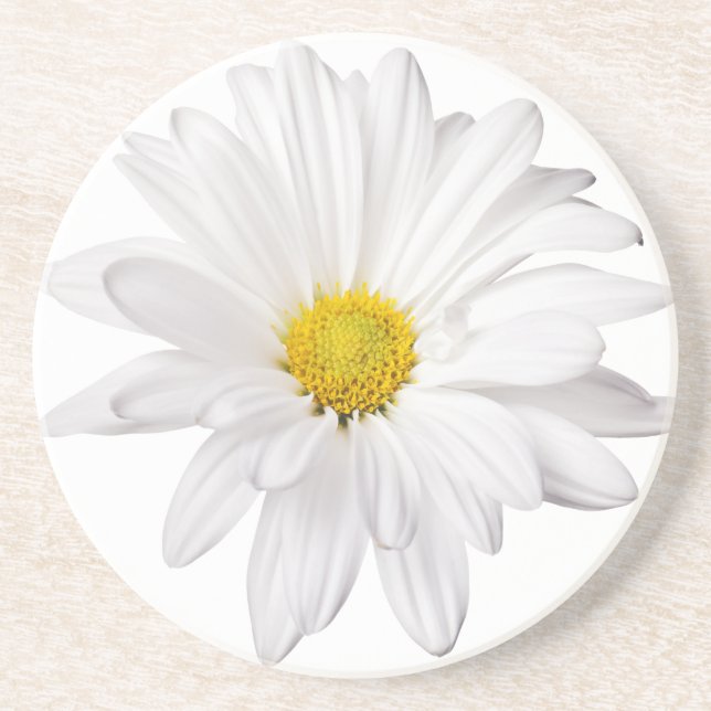 White Daisy Flower Background Customised Daisies Coaster (Front)