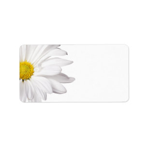 White Daisy Flower Background Customised Daisies Label