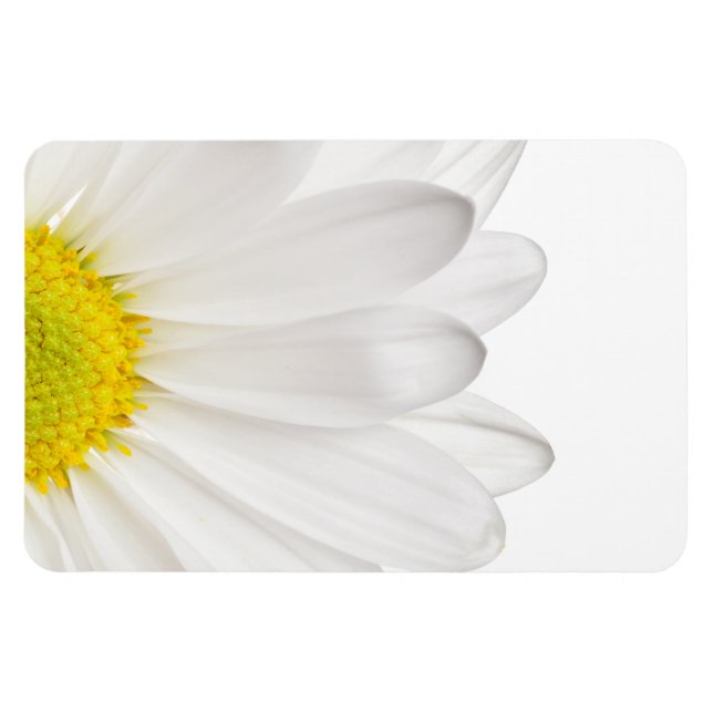 White Daisy Flower Background Customised Daisies Magnet (Horizontal)