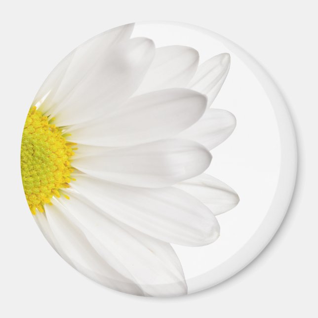 White Daisy Flower Background Customised Daisies Magnet (Front)