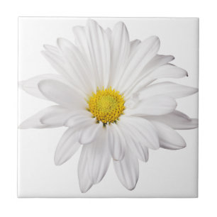 White Daisy Flower Background Customised Daisies Tile