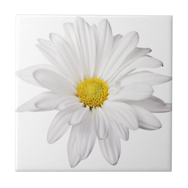 White Daisy Flower Background Customised Daisies Tile (Front)
