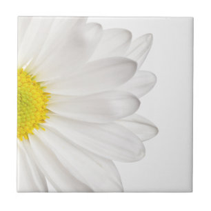 White Daisy Flower Background Customised Daisies Tile