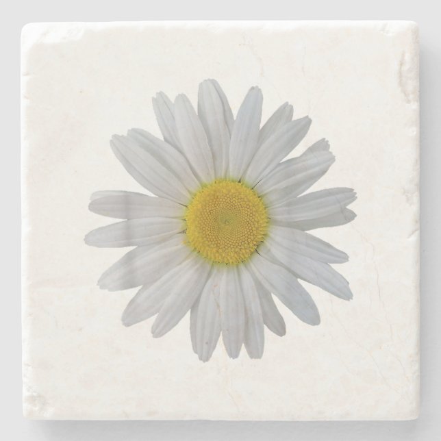 White daisy flower, blooming daisy, blooms, flower stone coaster (Front)