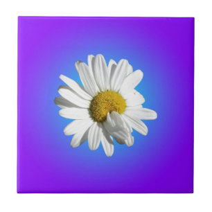 White Daisy Flower Floral Purple Blue Gradient Ceramic Tile