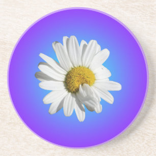 White Daisy Flower Floral Purple Blue Gradient Coaster