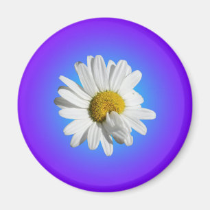 White Daisy Flower Floral Purple Blue Gradient Magnet