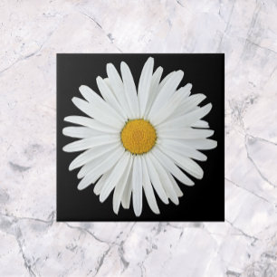 White Daisy Flower on Black Floral Ceramic Tile
