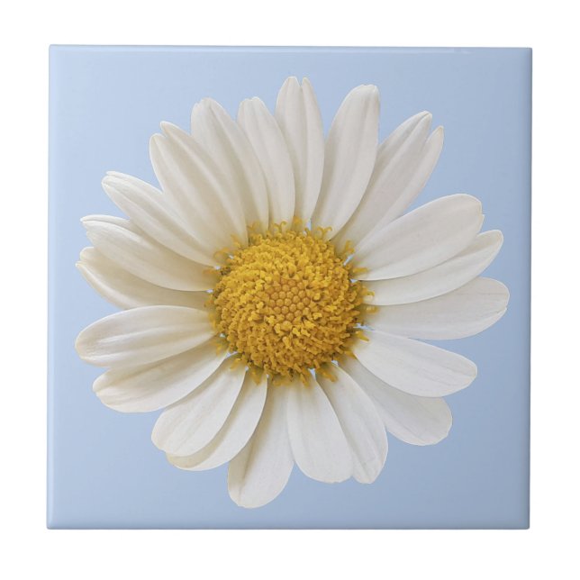 White Daisy Flower on Light Blue Background Ceramic Tile (Front)