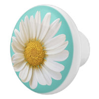White Daisy Flower on Light Teal Background