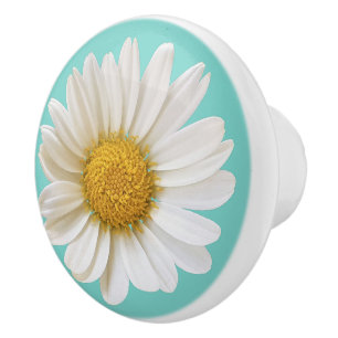White Daisy Flower on Light Teal Background Ceramic Knob