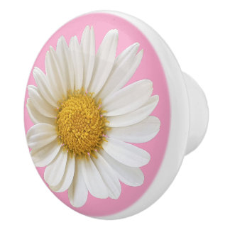 White Daisy Flower on Pink Background Ceramic Knob
