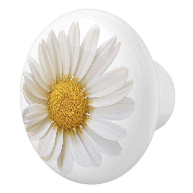 White Daisy Flower on White Background Ceramic Knob (Right)