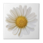 White Daisy Flower on White Background Ceramic Tile<br><div class="desc">A close-up photo of a beautiful white daisy flower with yellow centre on white background.</div>