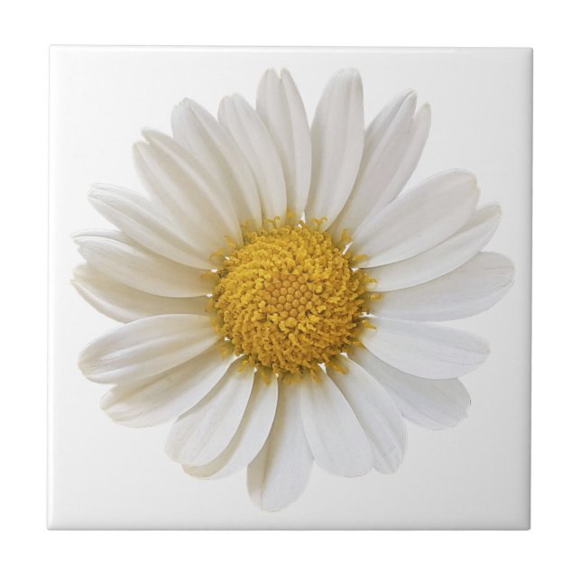White Daisy Flower on White Background Ceramic Tile (Front)