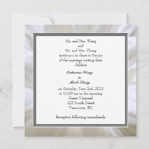 white daisy flower weddings invitation