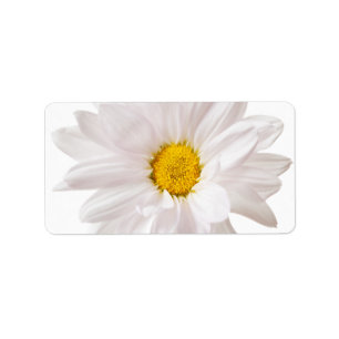 White Daisy Flowers Daisies Flower Floral Template Label