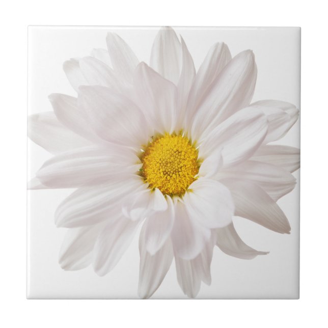 White Daisy Flowers Daisies Flower Floral Template Tile (Front)